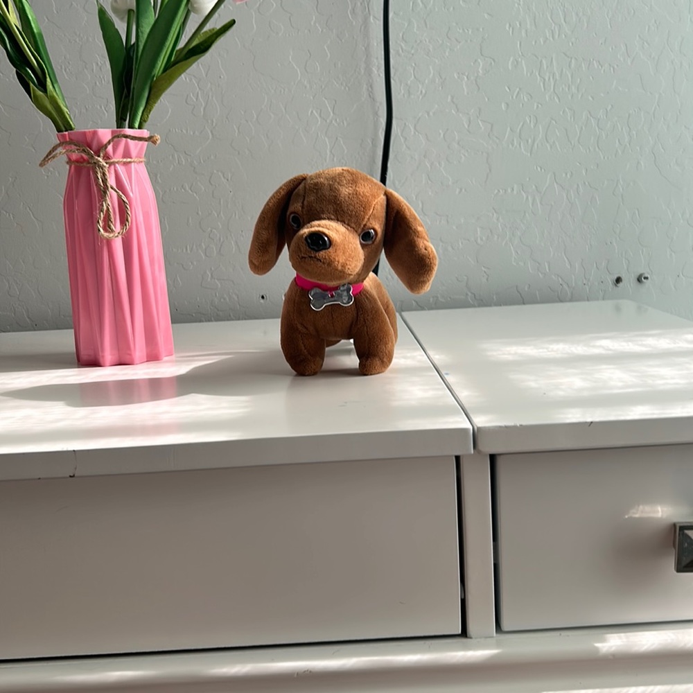 Stuffed animal dog pet!